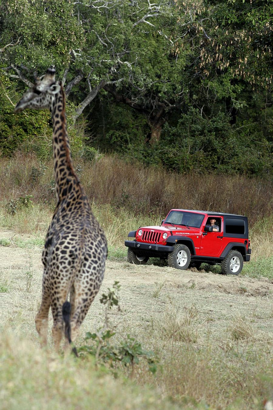  Jeep Wrangler Rubicon 2006 года  (фото 42 из 152)